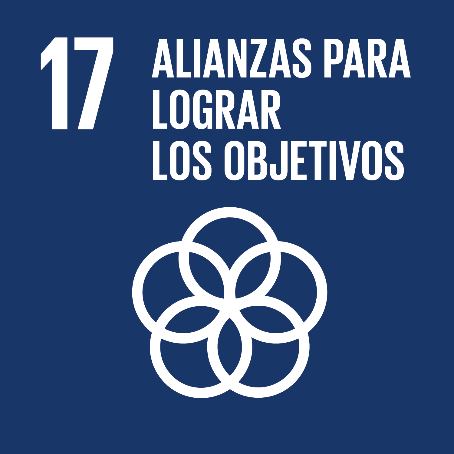 ODS 17. Alianzas para lograr los objetivos