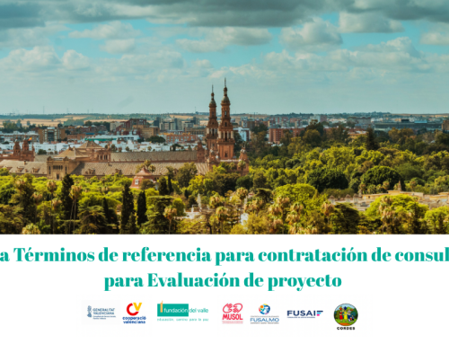 Términos de referencia para contratación de consultoría para Evaluación de proyecto