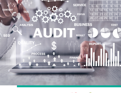 Términos de Referencia para la contratación de auditoría externa